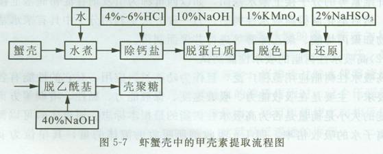 专虅2 高中化学实验设计